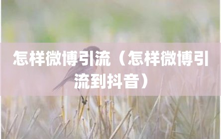 怎样微博引流（怎样微博引流到抖音）