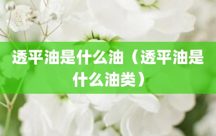 透平油是什么油（透平油是什么油类）