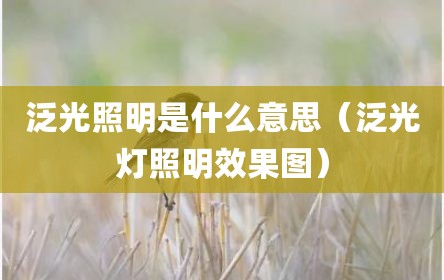 泛光照明是什么意思（泛光灯照明效果图）
