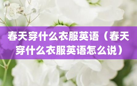 春天穿什么衣服英语（春天穿什么衣服英语怎么说）