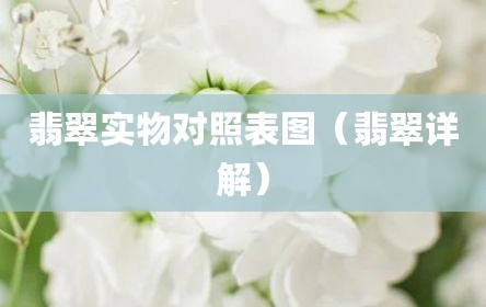 翡翠实物对照表图（翡翠详解）