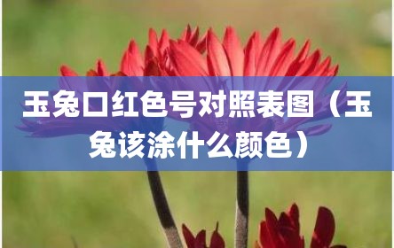 玉兔口红色号对照表图（玉兔该涂什么颜色）