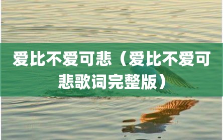 爱比不爱可悲（爱比不爱可悲歌词完整版）