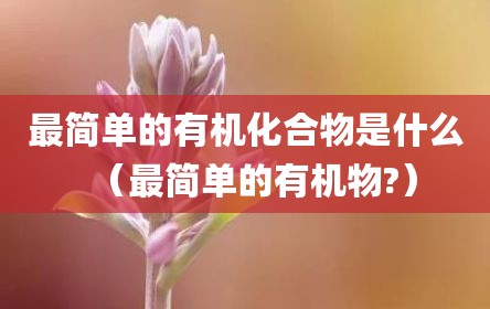 最简单的有机化合物是什么（最简单的有机物?）