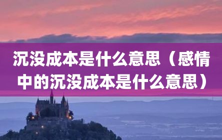 沉没成本是什么意思（感情中的沉没成本是什么意思）