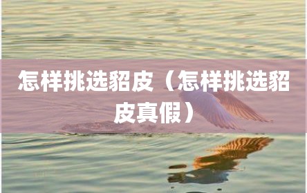 怎样挑选貂皮（怎样挑选貂皮真假）