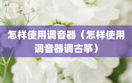怎样使用调音器（怎样使用调音器调古筝）