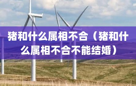 猪和什么属相不合（猪和什么属相不合不能结婚）