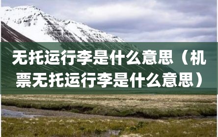 无托运行李是什么意思（机票无托运行李是什么意思）