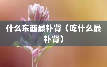 什么东西最补肾（吃什么最补肾）