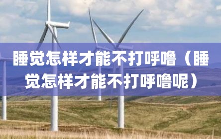睡觉怎样才能不打呼噜（睡觉怎样才能不打呼噜呢）