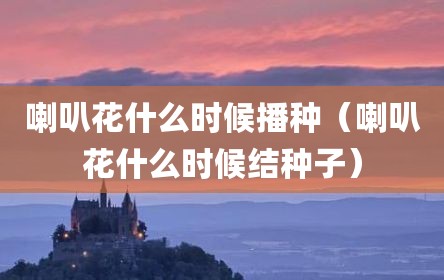 喇叭花什么时候播种（喇叭花什么时候结种子）