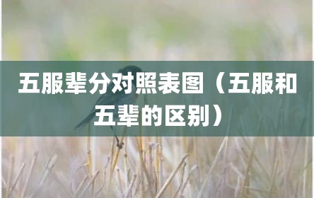 五服辈分对照表图（五服和五辈的区别）