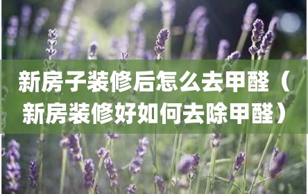 新房子装修后怎么去甲醛（新房装修好如何去除甲醛）