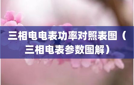 三相电电表功率对照表图（三相电表参数图解）