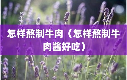 怎样熬制牛肉（怎样熬制牛肉酱好吃）