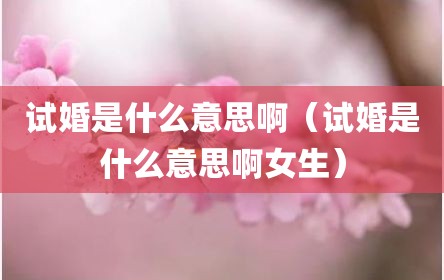 试婚是什么意思啊（试婚是什么意思啊女生）