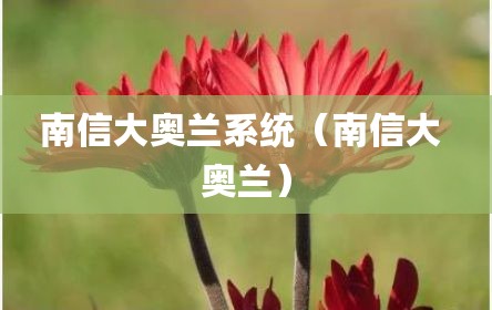 南信大奥兰系统（南信大 奥兰）