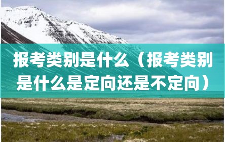 报考类别是什么（报考类别是什么是定向还是不定向）