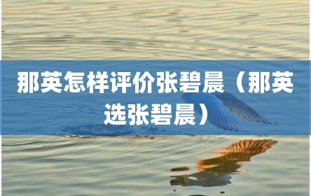 那英怎样评价张碧晨（那英选张碧晨）