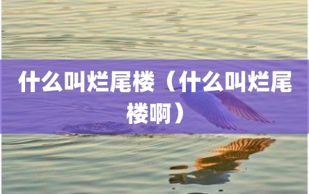 什么叫烂尾楼（什么叫烂尾楼啊）