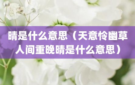 晴是什么意思（天意怜幽草人间重晚晴是什么意思）