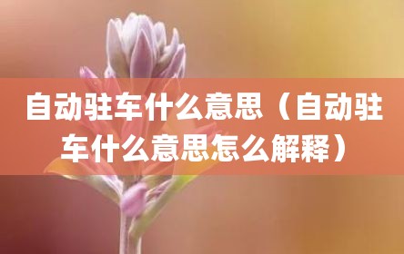 自动驻车什么意思（自动驻车什么意思怎么解释）