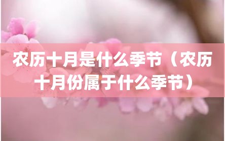 农历十月是什么季节（农历十月份属于什么季节）
