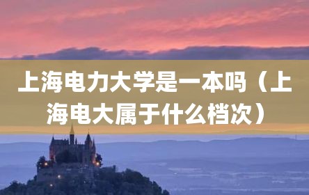 上海电力大学是一本吗（上海电大属于什么档次）