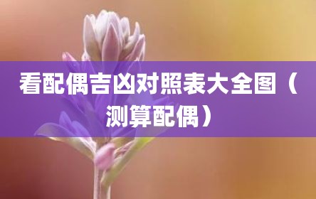 看配偶吉凶对照表大全图（测算配偶）