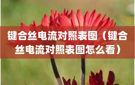 键合丝电流对照表图（键合丝电流对照表图怎么看）