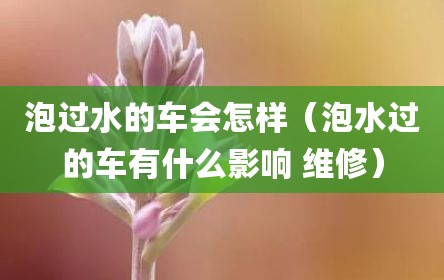 泡过水的车会怎样（泡水过的车有什么影响 维修）