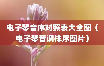 电子琴音序对照表大全图（电子琴音调排序图片）