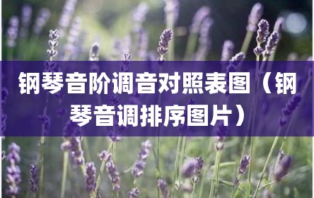钢琴音阶调音对照表图（钢琴音调排序图片）