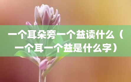 一个耳朵旁一个益读什么（一个耳一个益是什么字）