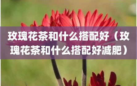 玫瑰花茶和什么搭配好（玫瑰花茶和什么搭配好减肥）