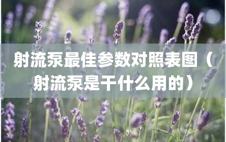 射流泵最佳参数对照表图（射流泵是干什么用的）