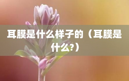 耳膜是什么样子的（耳膜是什么?）
