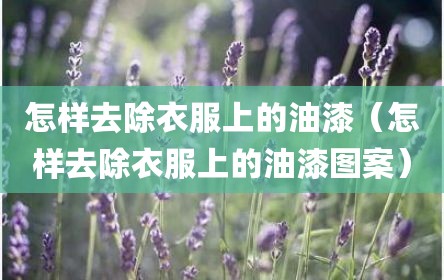 怎样去除衣服上的油漆（怎样去除衣服上的油漆图案）
