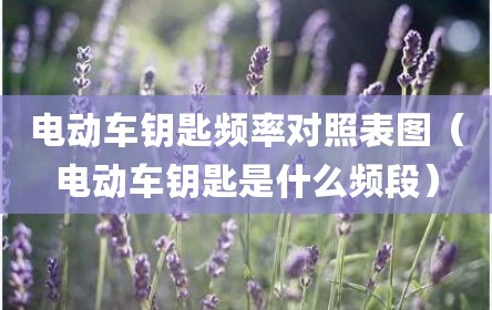 电动车钥匙频率对照表图（电动车钥匙是什么频段）