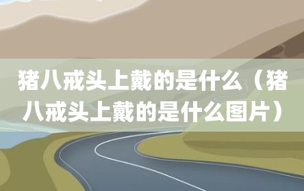 猪八戒头上戴的是什么（猪八戒头上戴的是什么图片）