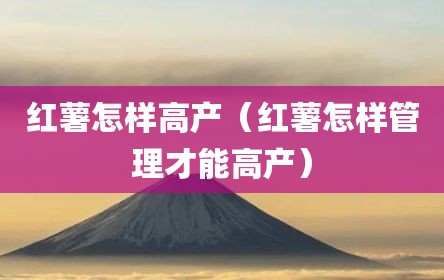 红薯怎样高产（红薯怎样管理才能高产）