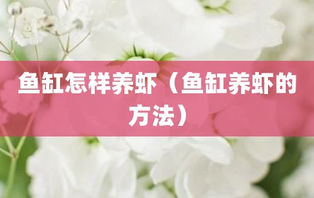 鱼缸怎样养虾（鱼缸养虾的方法）