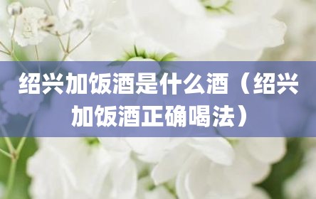 绍兴加饭酒是什么酒（绍兴加饭酒正确喝法）