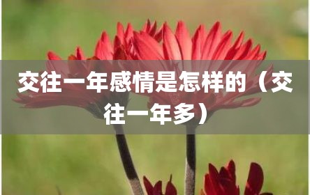 交往一年感情是怎样的（交往一年多）
