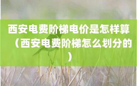 西安电费阶梯电价是怎样算（西安电费阶梯怎么划分的）