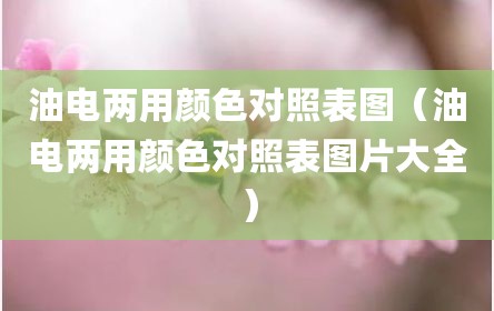 油电两用颜色对照表图（油电两用颜色对照表图片大全）