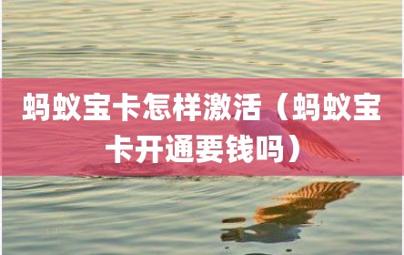 蚂蚁宝卡怎样激活（蚂蚁宝卡开通要钱吗）