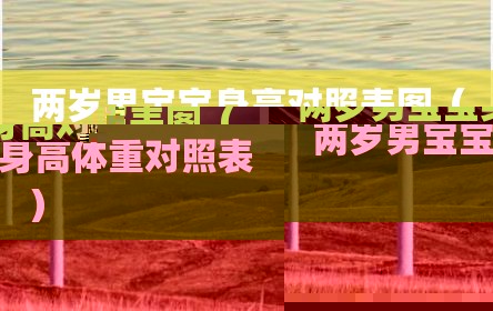 两岁男宝宝身高对照表图（两岁男宝宝身高体重对照表）