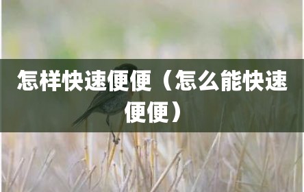 怎样快速便便（怎么能快速便便）